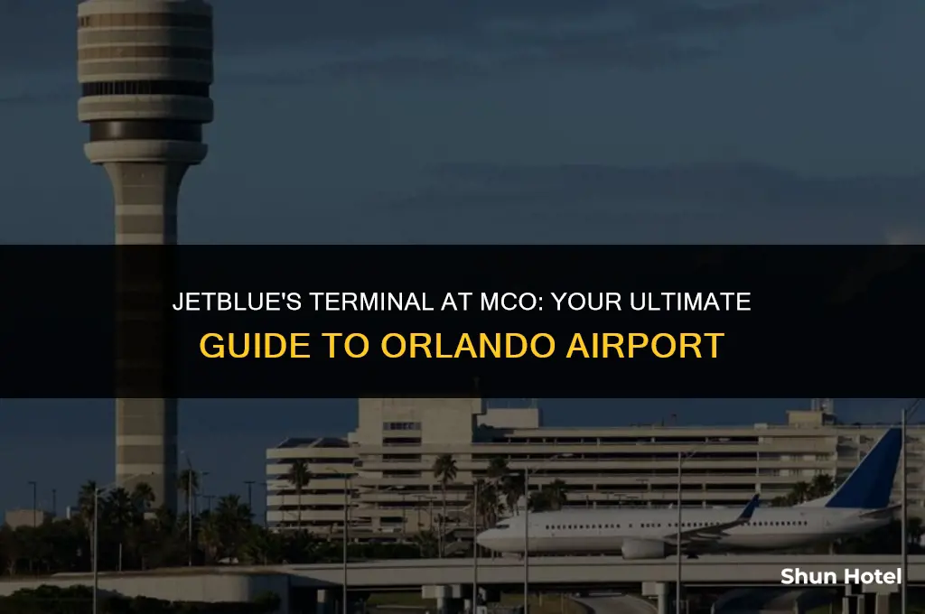 what terminal is jetblue at mco airport