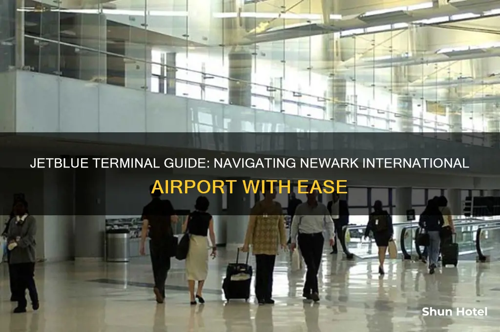 what terminal is jetblue at newark international airport