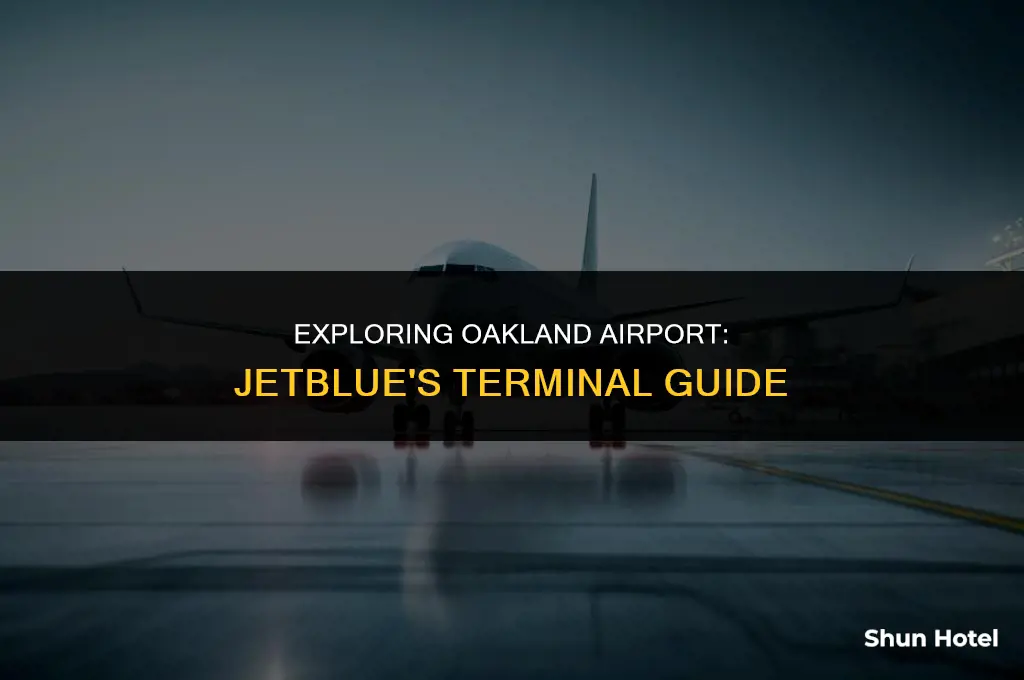 what terminal is jetblue at oakland airport