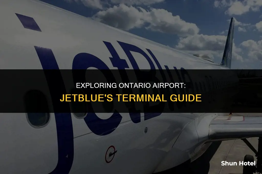 what terminal is jetblue at ontario airport