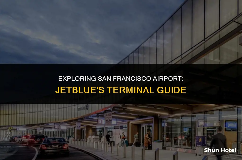 what terminal is jetblue at san francisco airport