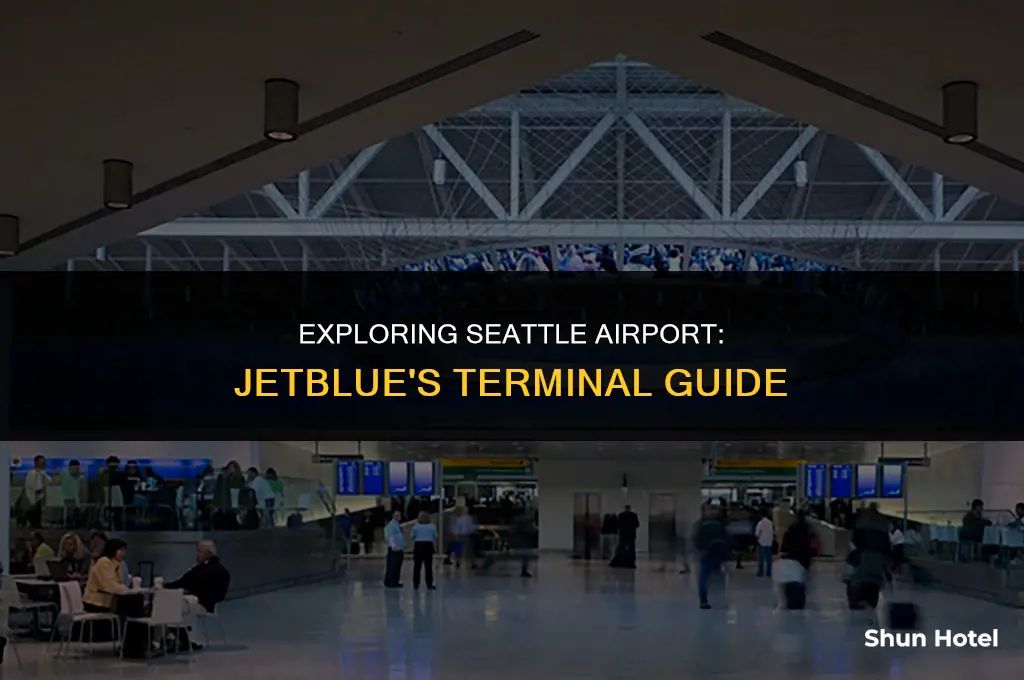 what terminal is jetblue at seattle airport
