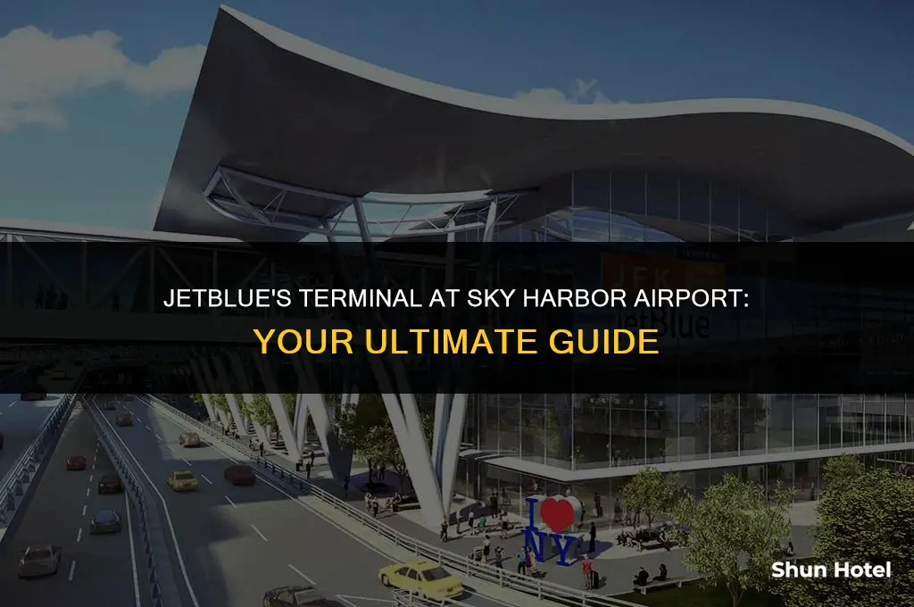 what terminal is jetblue at sky harbor airport