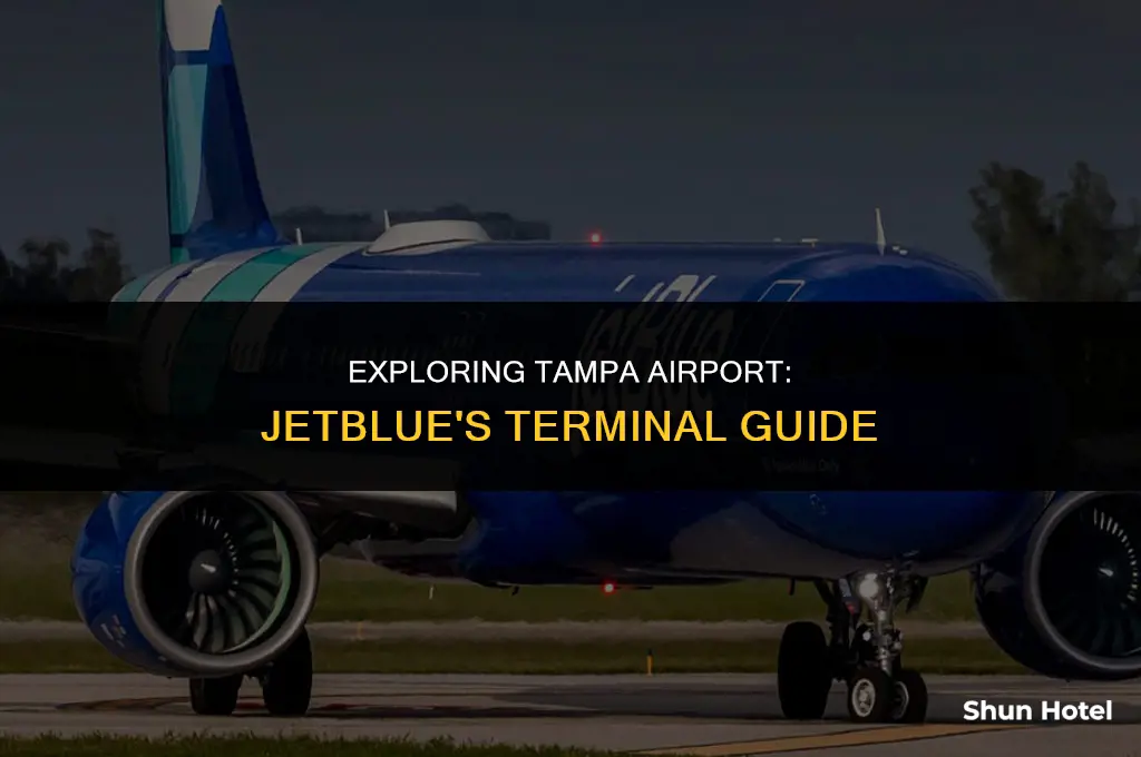 what terminal is jetblue at tampa airport