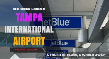JetBlue's Terminal at Tampa International Airport: A Quick Guide