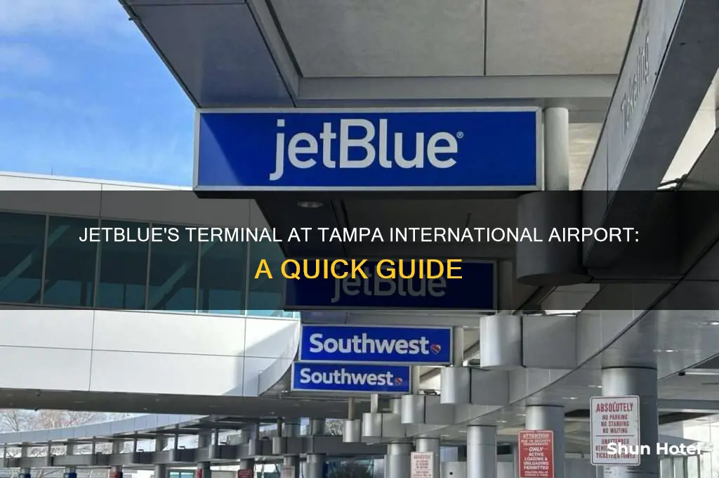 what terminal is jetblue at tampa international airport
