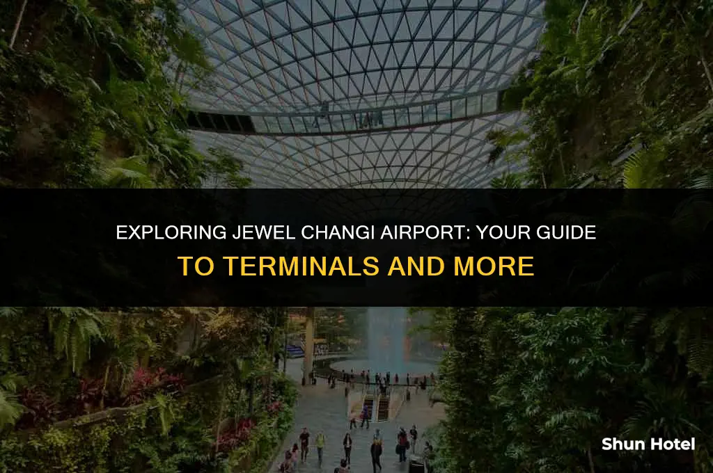 what terminal is jewel changi airport