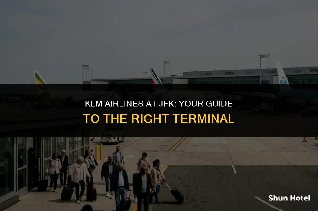 what terminal is klm airlines at jfk airport