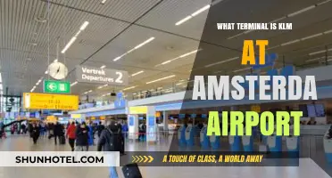 KLM's Amsterdam Airport Terminal: Your Complete Guide