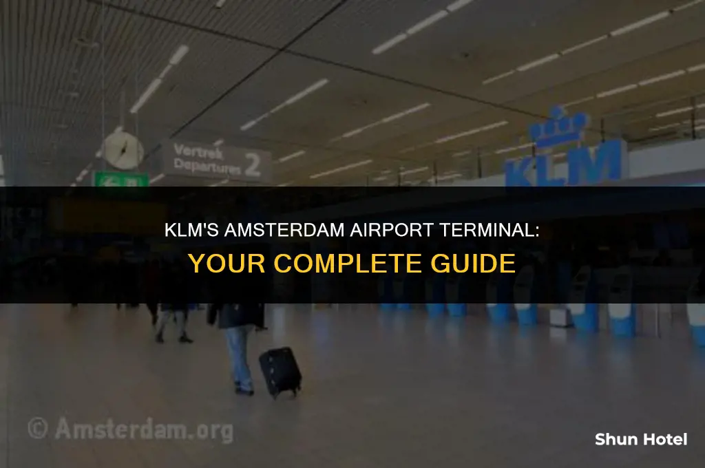 what terminal is klm at amsterdam airport