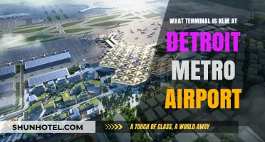 KLM's Detroit Metro Airport Terminal: Your Complete Guide