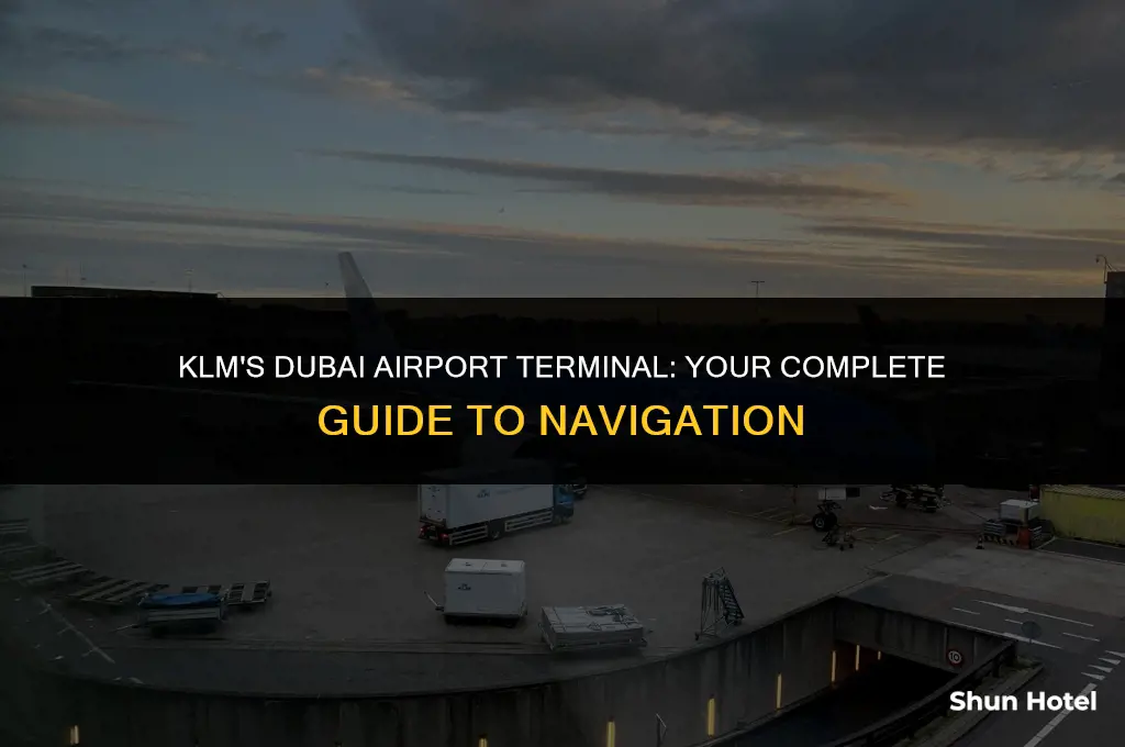 what terminal is klm at dubai airport