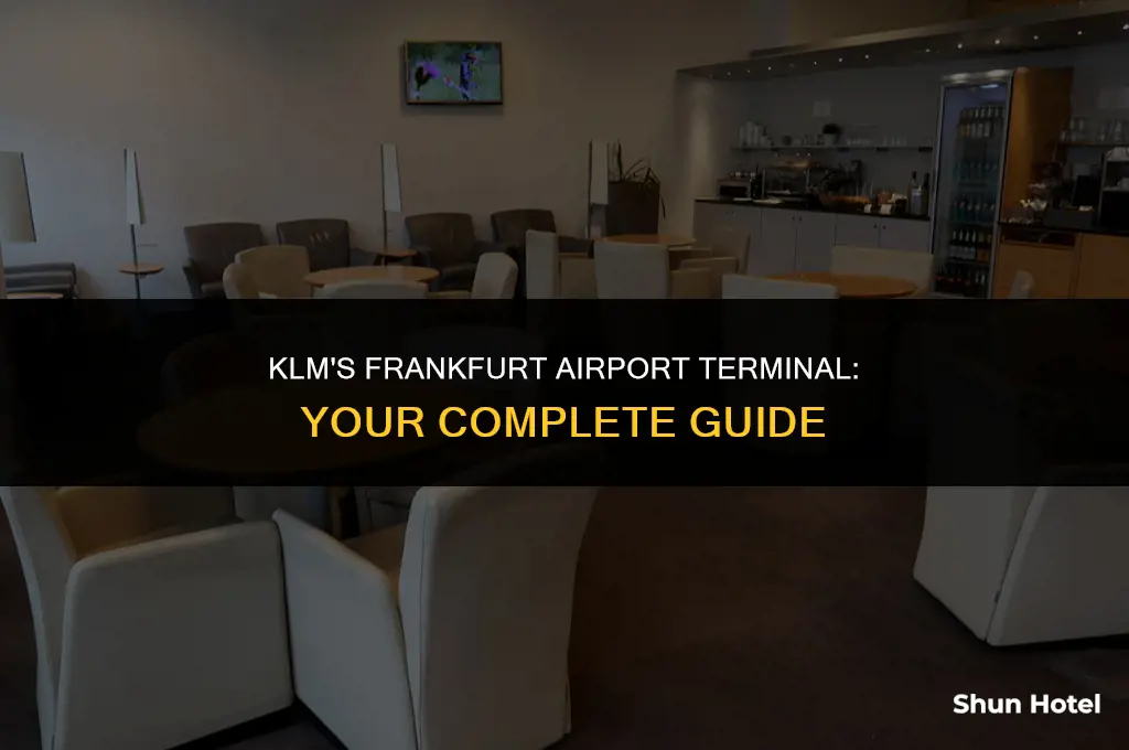 what terminal is klm at frankfurt airport