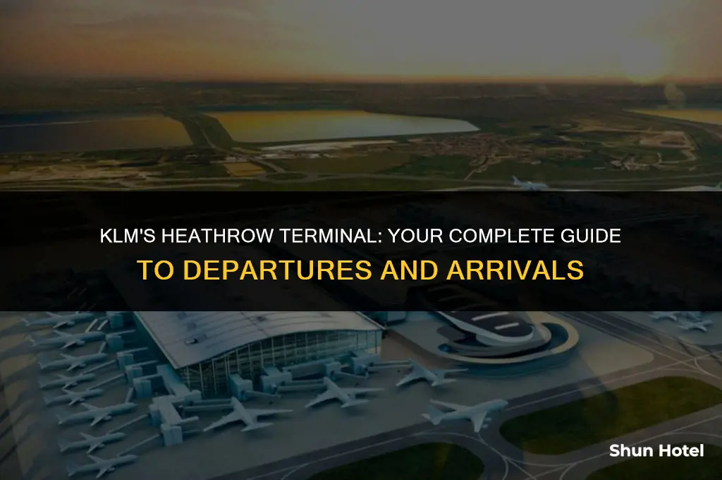 what terminal is klm at heathrow airport