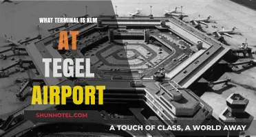 KLM's Terminal at Tegel Airport: Your Complete Guide