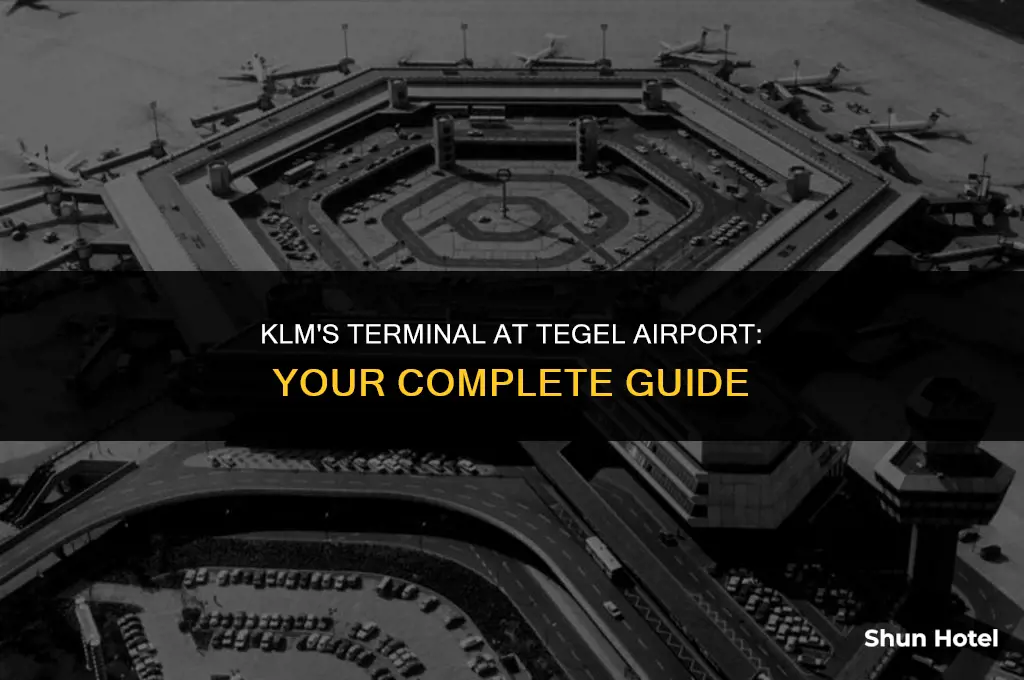 what terminal is klm at tegel airport