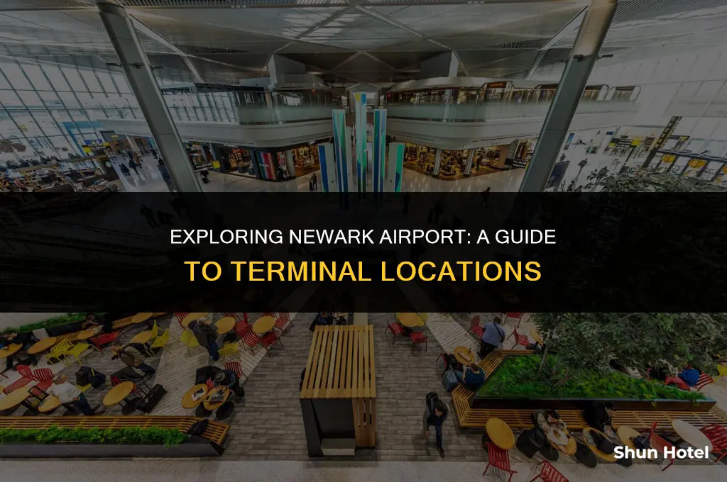 what terminal is lot at newark airport