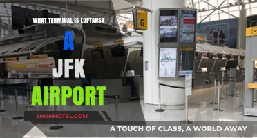 Lufthansa's JFK Terminal: Your Ultimate Guide to Navigating the Airport