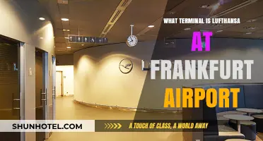 Lufthansa's Frankfurt Airport Terminal: Your Complete Guide