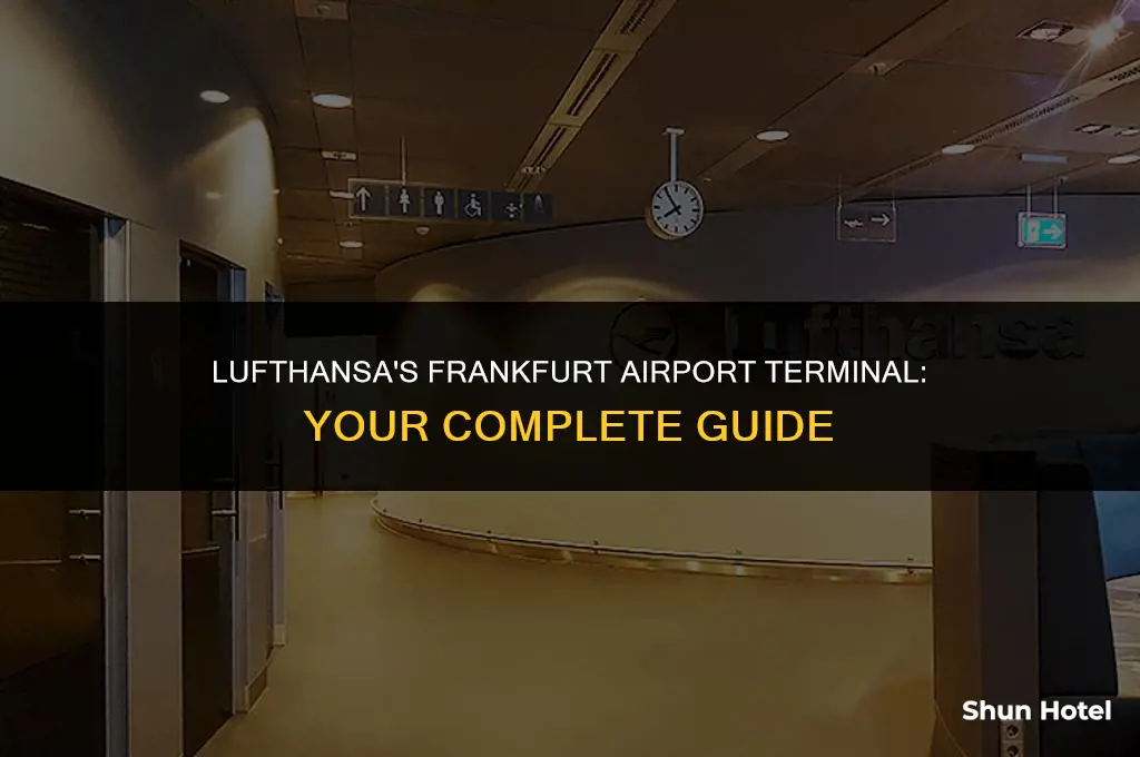 what terminal is lufthansa at frankfurt airport