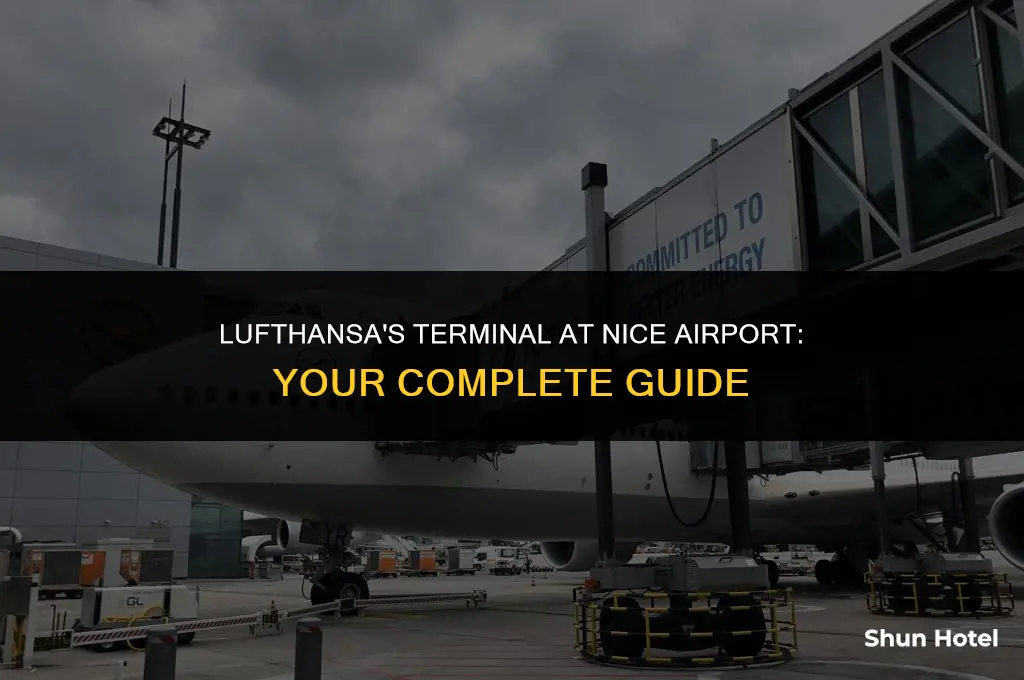 what terminal is lufthansa at nice airport