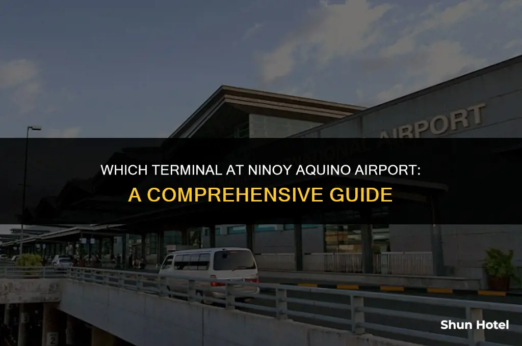 what terminal is ninoy aquino airport