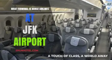 Exploring JFK: Norse Airlines' Terminal Guide for Travelers
