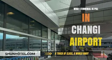 Navigating Changi: Your Guide to PAL's Terminal Location
