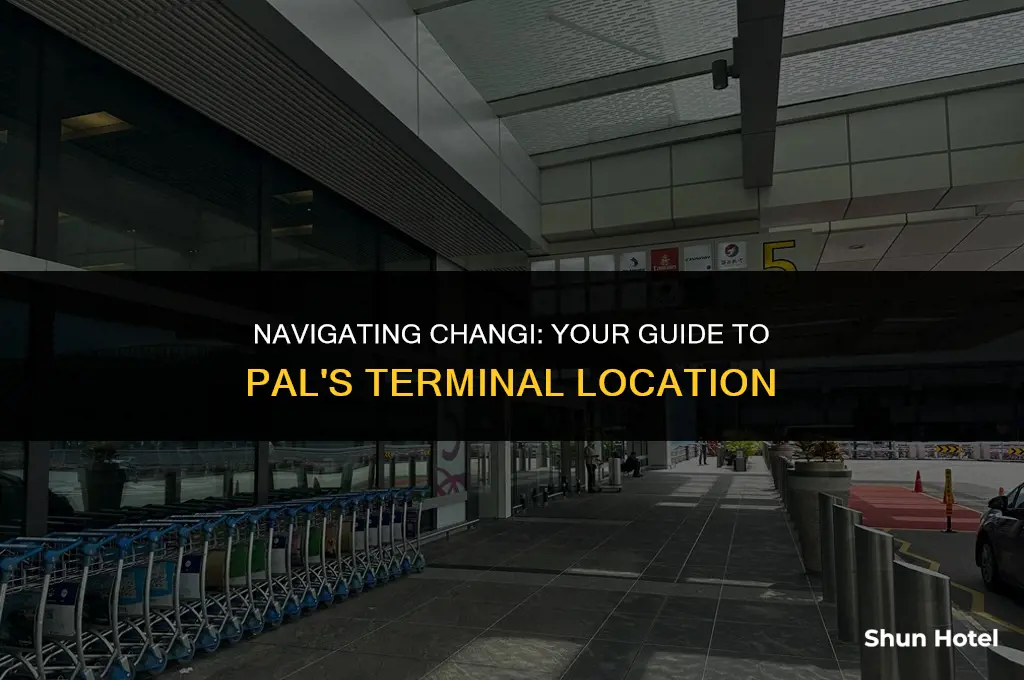 what terminal is pal in changi airport