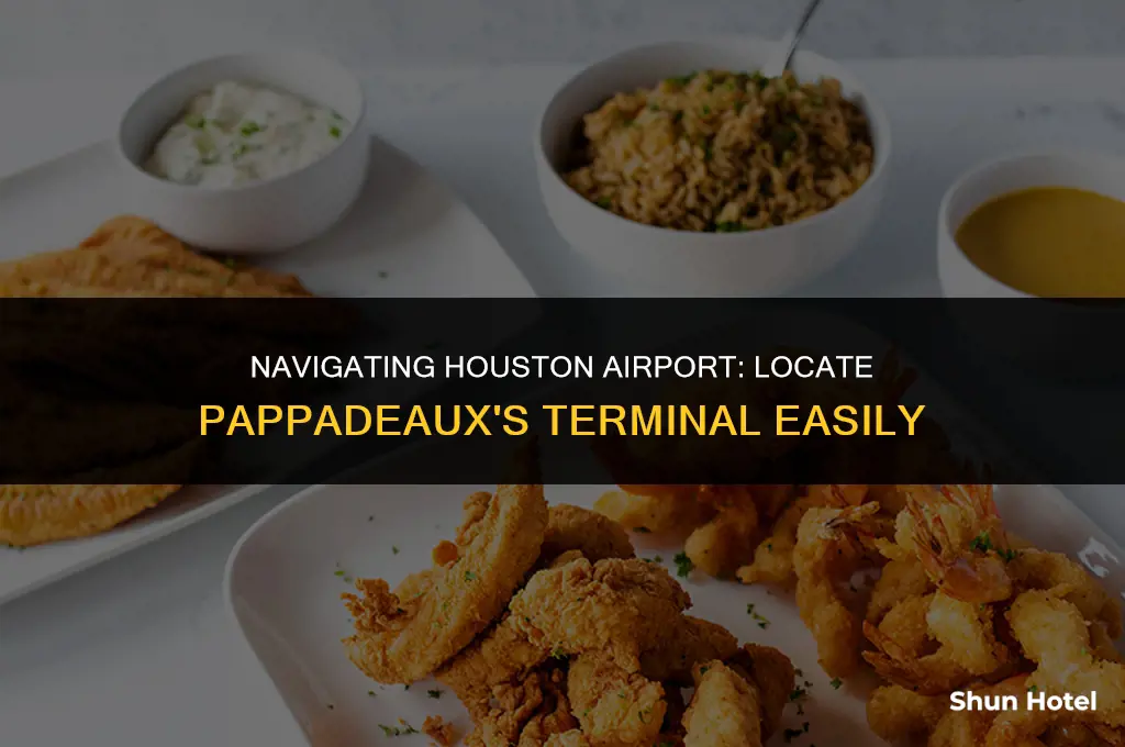 what terminal is pappadeaux in houston airport