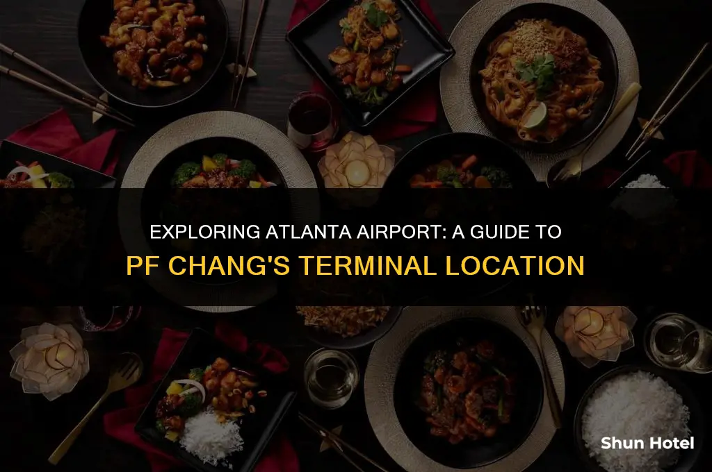 what terminal is pf chang