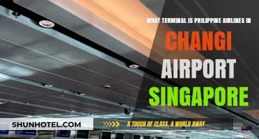 Exploring Changi: Philippine Airlines' Terminal Guide