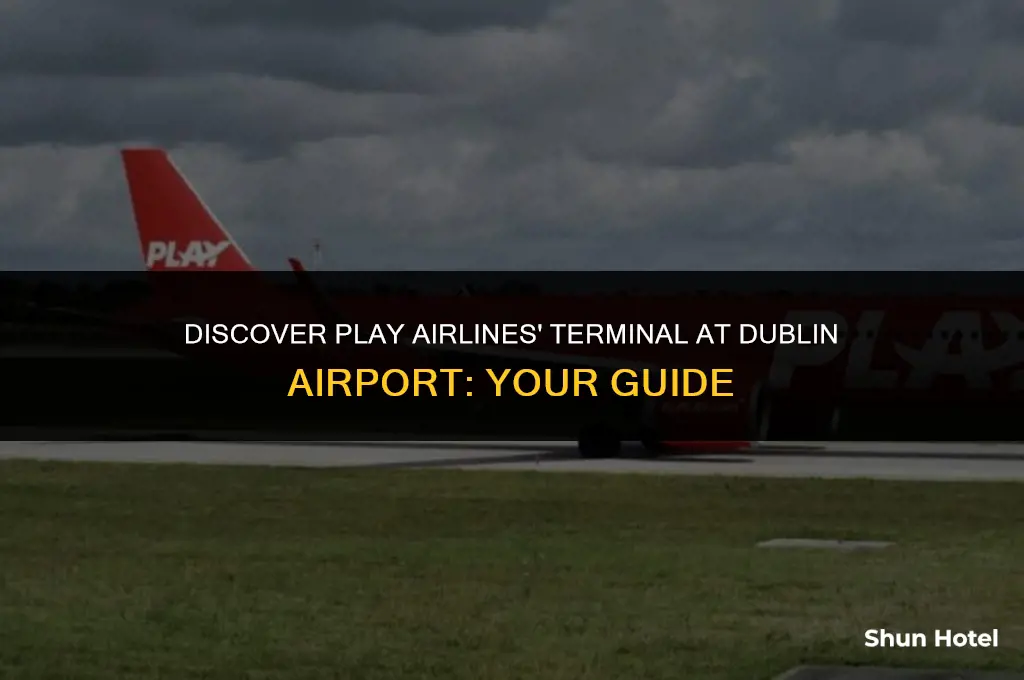 what terminal is play airlines at dublin airport