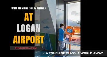 Exploring Logan Airport: Play Airlines' Terminal Guide
