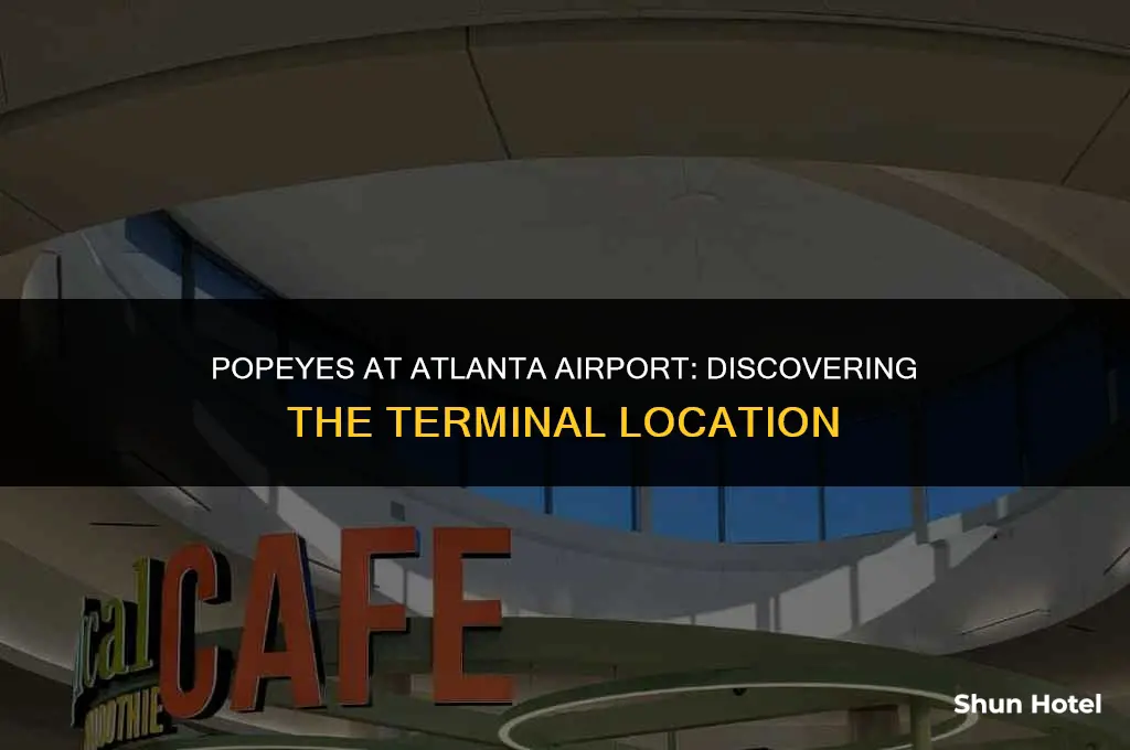 what terminal is popeyes in atlanta airport