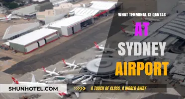 Qantas Terminal at Sydney Airport: Your Ultimate Guide