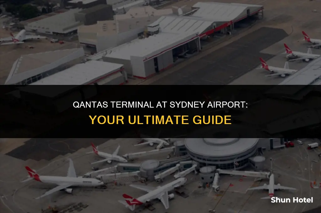 what terminal is qantas at sydney airport