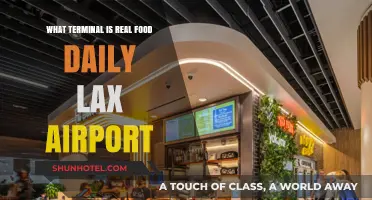 Discovering Real Food Options at LAX Airport Terminals Daily