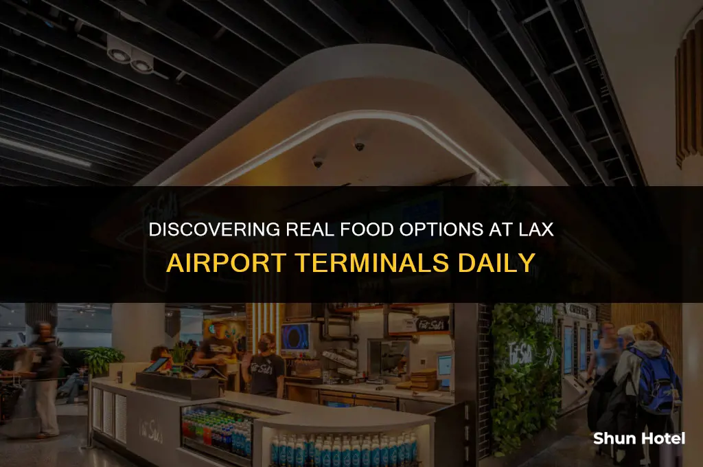 what terminal is real food daily lax airport