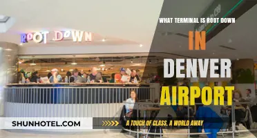 Exploring Denver Airport: Unveiling the Mystery of Root Down Terminal