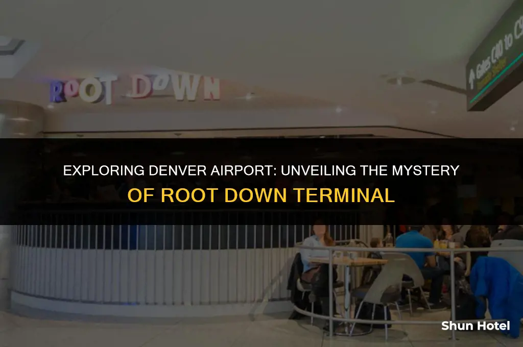 what terminal is root down in denver airport