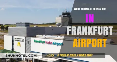 Ryanair's Frankfurt Airport Terminal: Your Complete Guide
