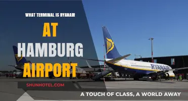 Ryanair's Hamburg Airport Terminal: Your Complete Guide
