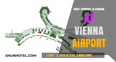 Ryanair's Vienna Airport Terminal: Your Essential Guide to Budget Travel