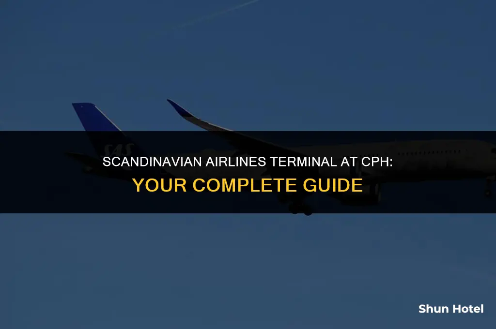 what terminal is scandinavian airlines at cph airport