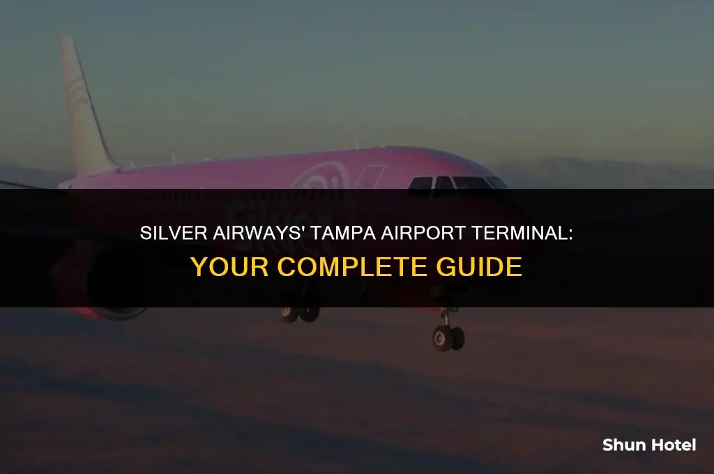 what terminal is silver airways at tampa airport