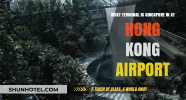 Exploring Singapore Airlines' Terminal at Hong Kong Airport