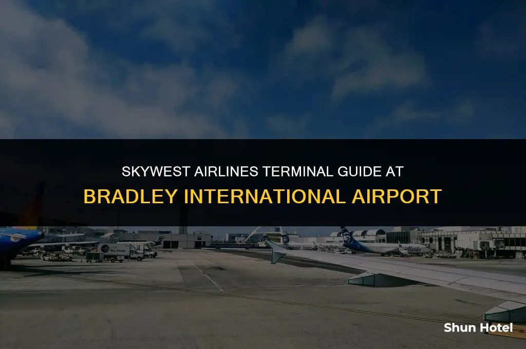 what terminal is skywest at bradley airport
