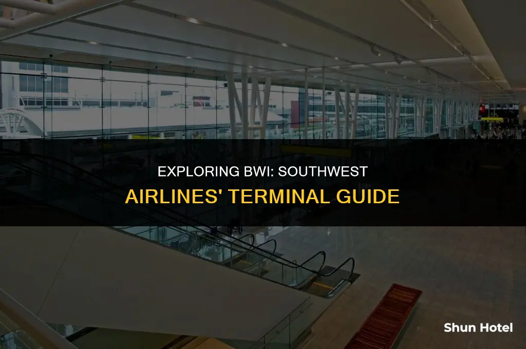what terminal is southwest airlines at bwi airport