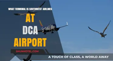 Exploring DCA: Southwest Airlines' Terminal Guide